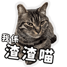 Sticker pack cover