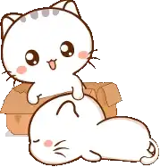 Sticker pack cover