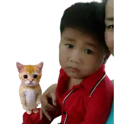 Sticker pack cover