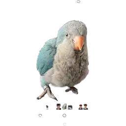 Sticker pack cover