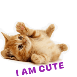 Sticker pack cover