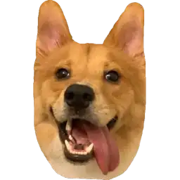 Sticker pack cover