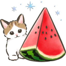 Sticker pack cover