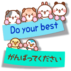 Sticker pack cover