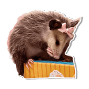 sticker
