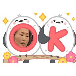 Sticker pack cover