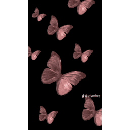 Sticker pack cover