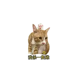 Sticker pack cover