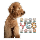 sticker