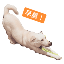 Sticker pack cover