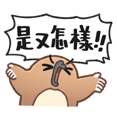 Sticker pack cover
