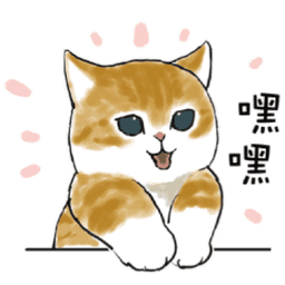 Sticker pack cover