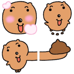 Sticker pack cover