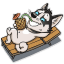 sticker