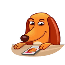 sticker