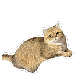 Sticker pack cover