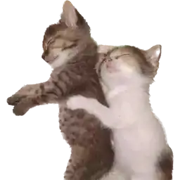 Sticker pack cover