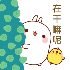 Sticker pack cover