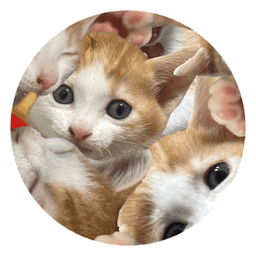 Sticker pack cover