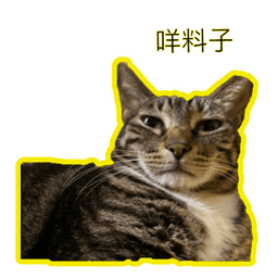 Sticker pack cover