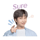 sticker