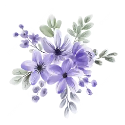 Sticker pack cover