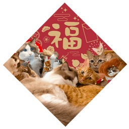 Sticker pack cover