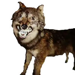 Sticker pack cover