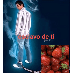 Sticker pack cover