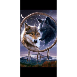 Sticker pack cover