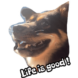 Sticker pack cover