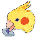 sticker