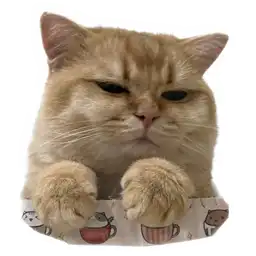 Sticker pack cover