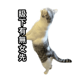Sticker pack cover