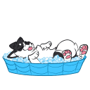 sticker