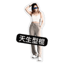sticker