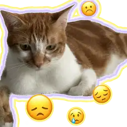 Sticker pack cover