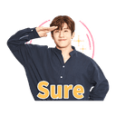 sticker
