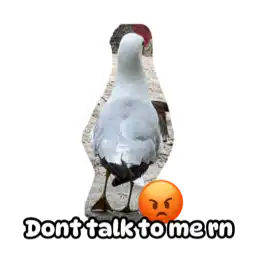 Sticker pack cover