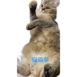 Sticker pack cover