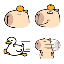Sticker pack cover