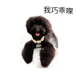 Sticker pack cover
