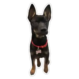 Sticker pack cover